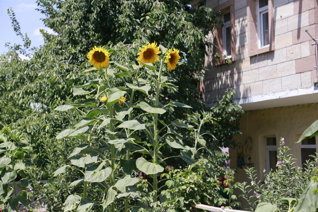 Garden Of Cappadocia Apartment Üçhisar Ngoại thất bức ảnh